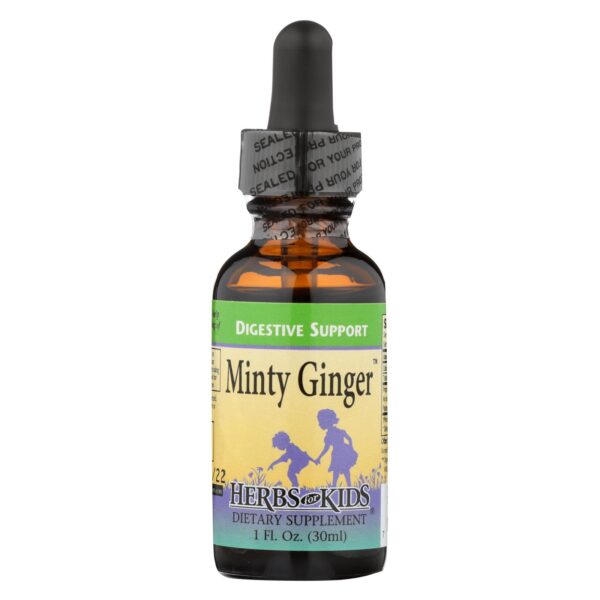 Herbs for Kids Minty Ginger Digestive Support 1 fl. oz.