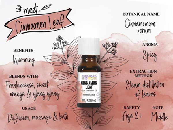 Aura Cacia Essential Oil Cinnamon Leaf, 0.5 oz - Image 2