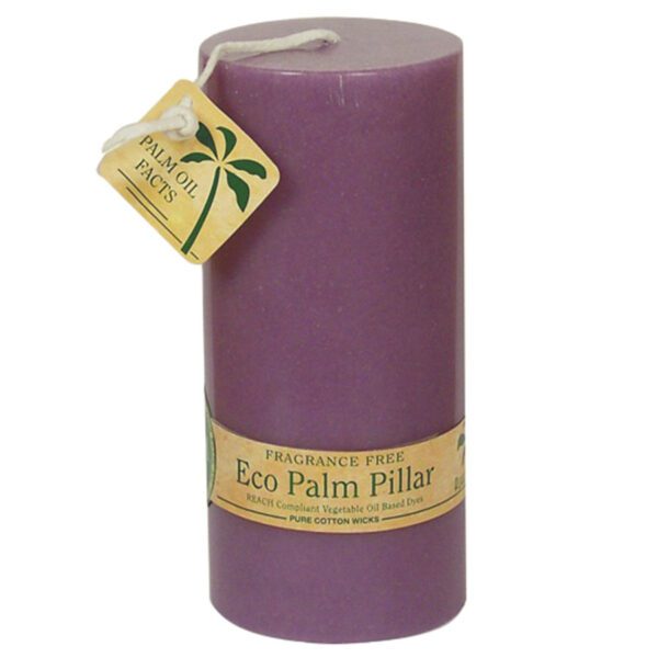 Aloha Bay Unscented Violet Pillar Candle 2.25 x 5