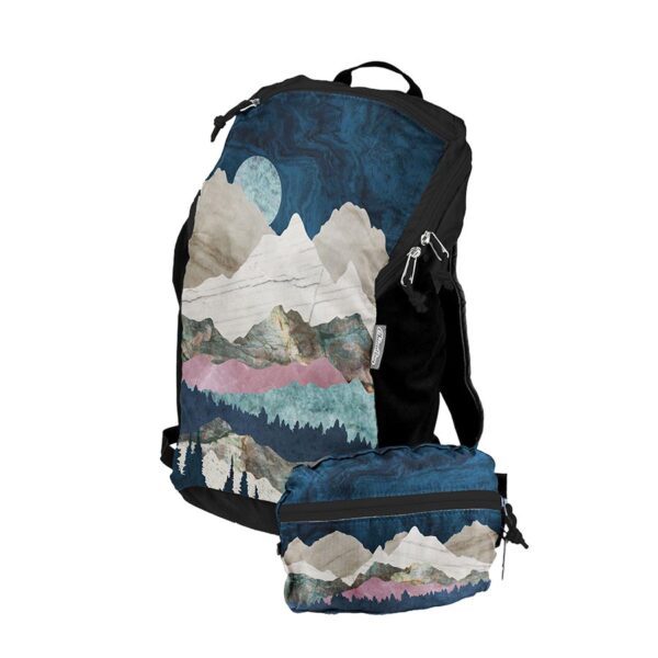 Chicobag Mountainspace rePETe Travel Pack