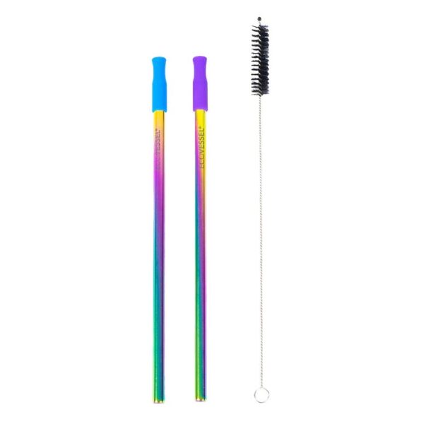 EcoVessel Straw Set Pack of 2 Rainbow