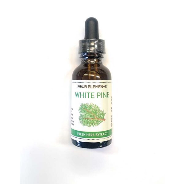 Four Elements Herbal Tincture White Pine 1 oz